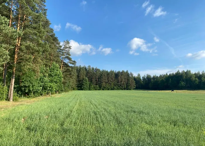 Kurnik - Domek Pod Lasem